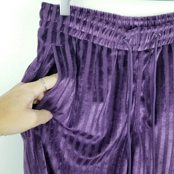 Urban Outfitters Plum Striped Velvet Suede Shorts NWT